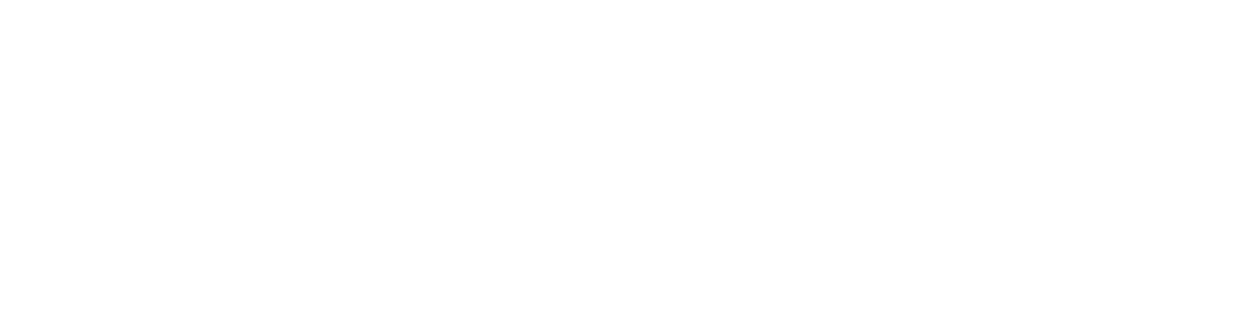 Aliu Garten- & Landschaftsbau
